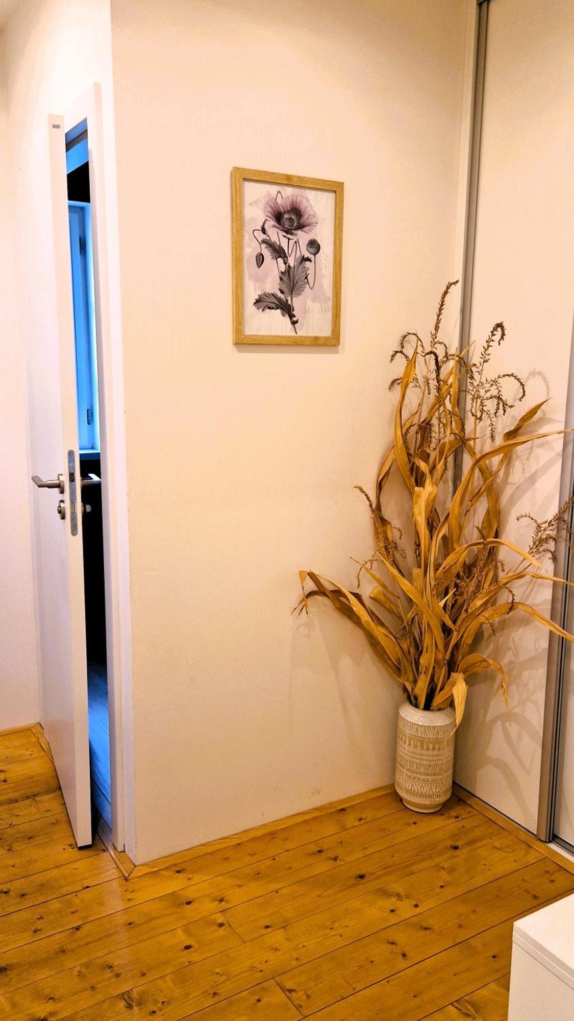 Apartmany Vcelin Brniste Extérieur photo