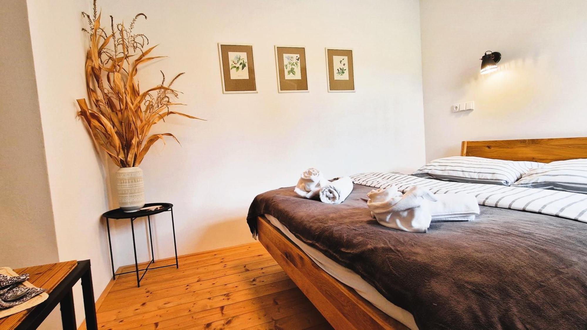 Apartmany Vcelin Brniste Extérieur photo