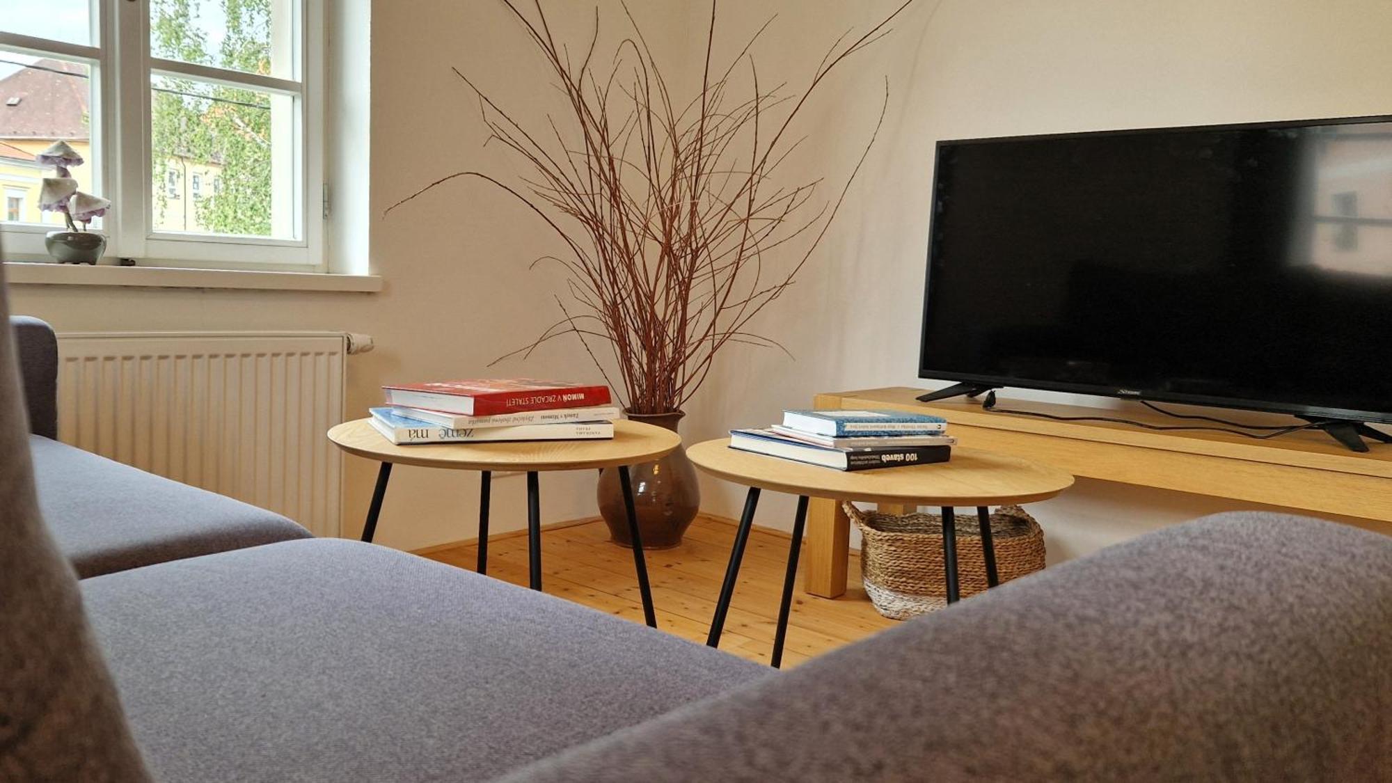 Apartmany Vcelin Brniste Extérieur photo